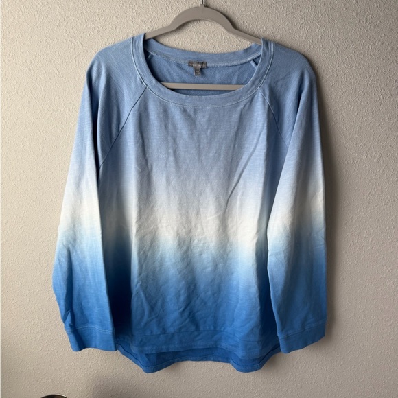 Talbots Tops - Talbots Blue and White Ombre Long Sleeve Top